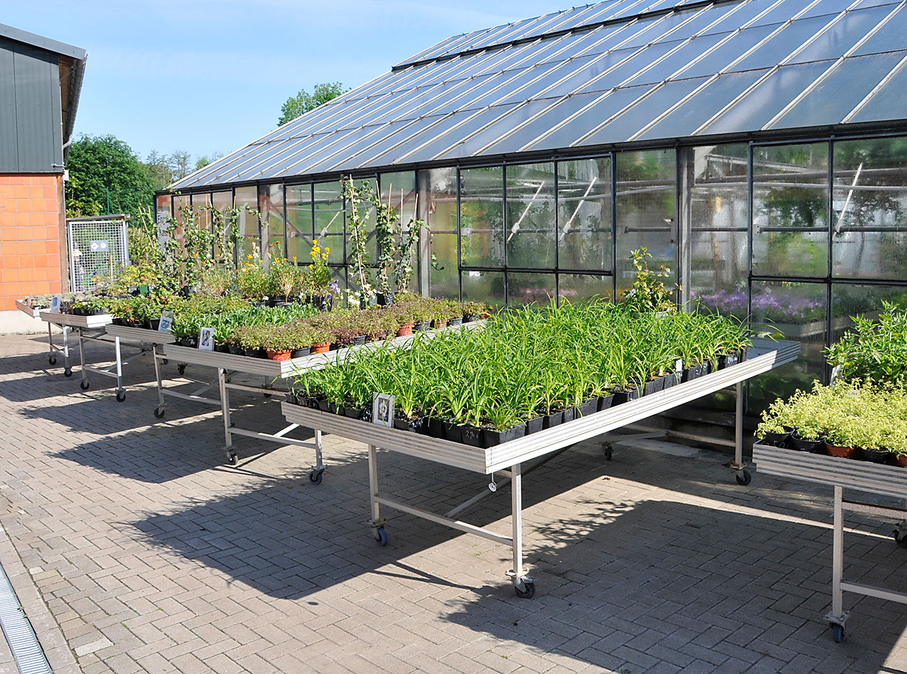 Gewächshaus von aussen